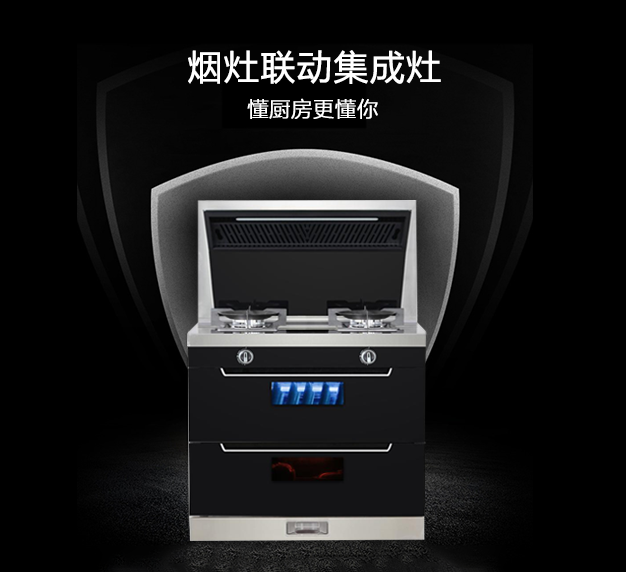 公司所生產(chǎn)銷(xiāo)售的燃?xì)庠罹弋a(chǎn)品，在行業(yè)里始終處于領(lǐng)先地位，也是灶具行業(yè)里比較突出的OEM制造企業(yè)